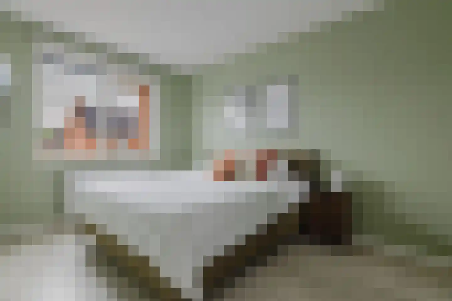 Doelakkers 10 Sprundel thumbnail 6