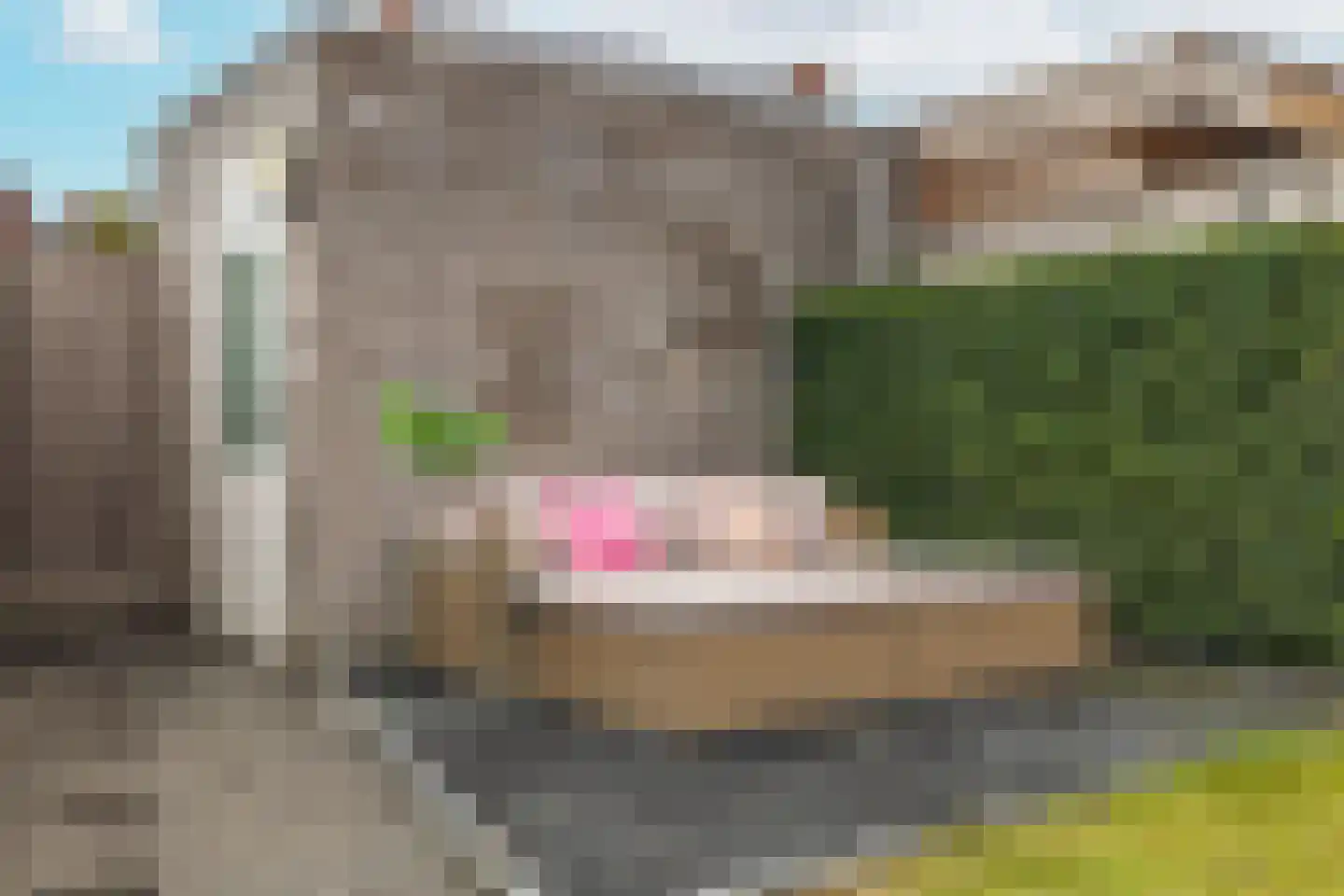 Doelakkers 10 Sprundel thumbnail 60