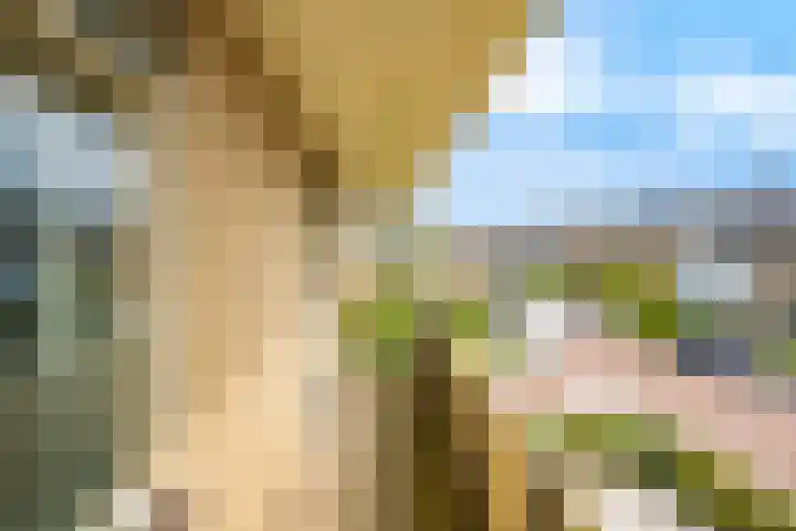 Doelakkerweg 44 Ameide thumbnail 22