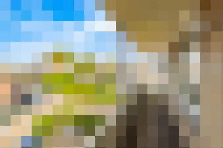 Doelakkerweg 44 Ameide thumbnail 26