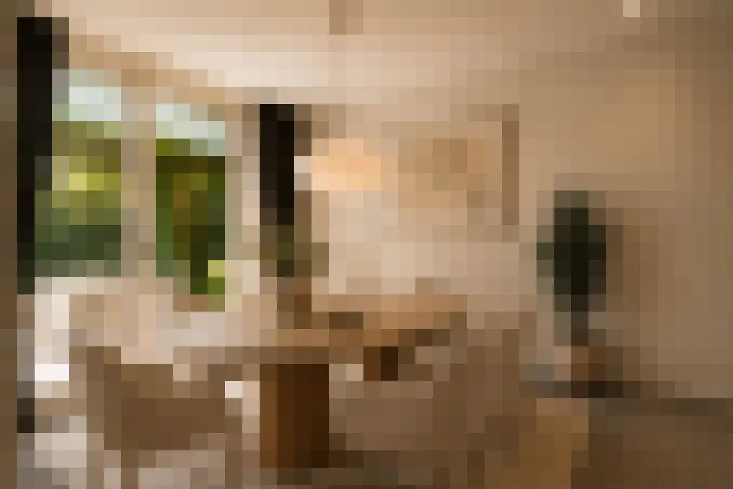 Doelbeekseweg 20 Heerde thumbnail 11