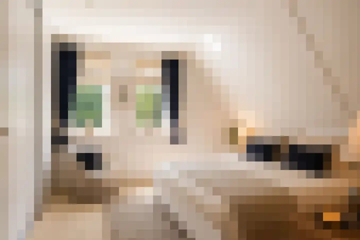 Doelbeekseweg 20 Heerde thumbnail 14