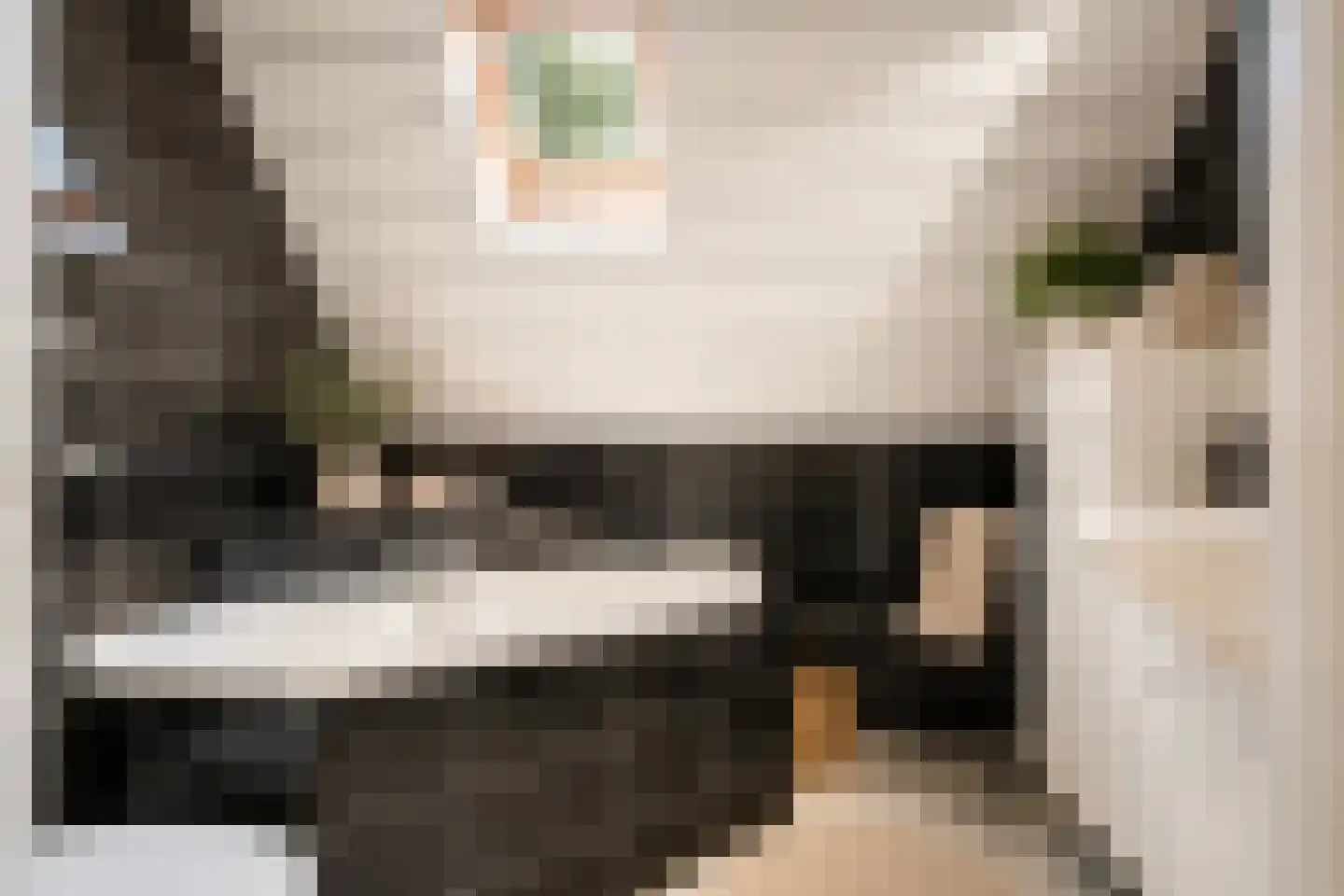 Doelbeekseweg 20 Heerde thumbnail 16