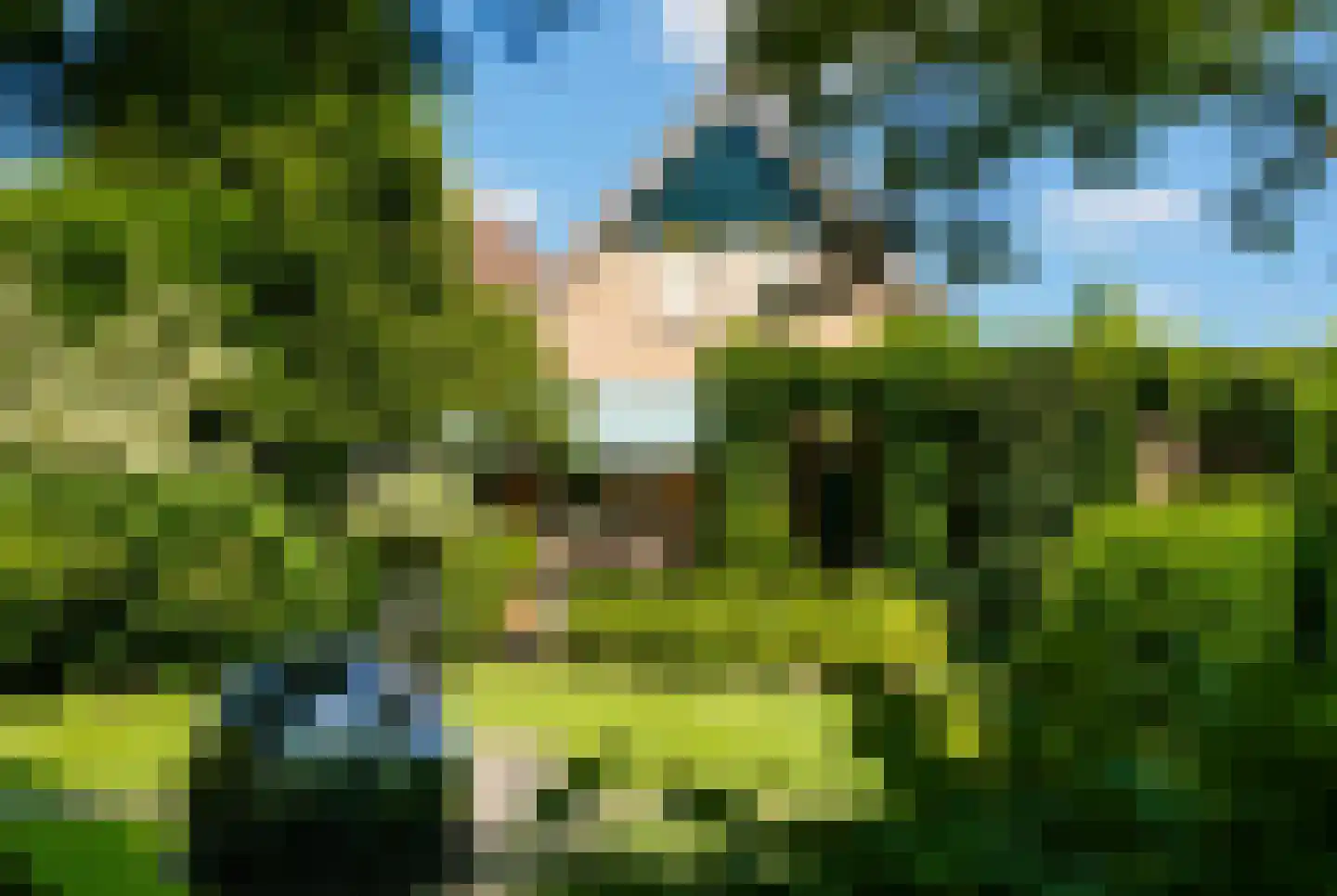 Doelbeekseweg 20 Heerde thumbnail 18