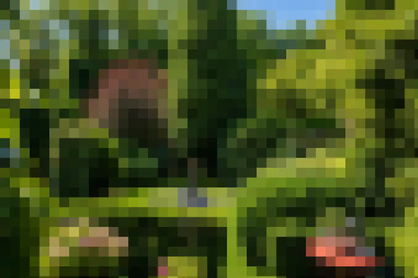 Doelbeekseweg 20 Heerde thumbnail 19