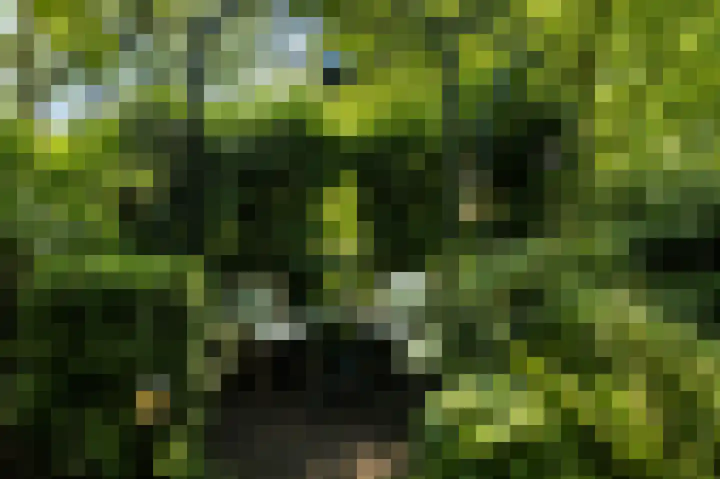 Doelbeekseweg 20 Heerde thumbnail 20