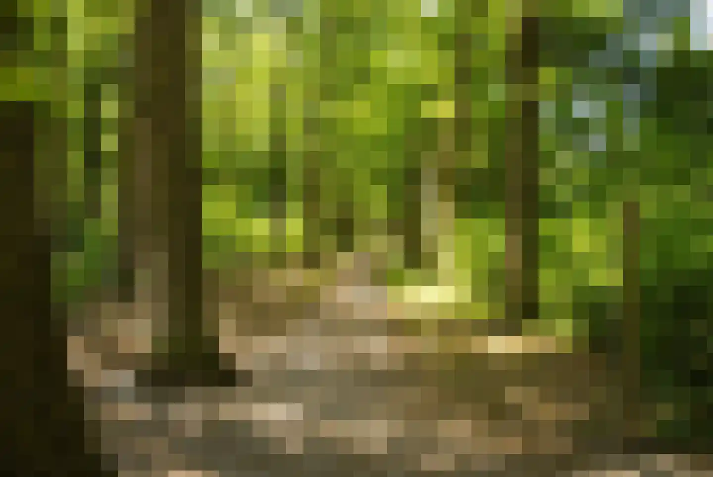 Doelbeekseweg 20 Heerde thumbnail 26