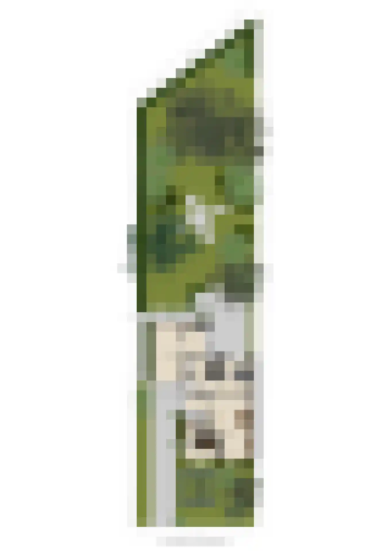 Doelbeekseweg 20 Heerde thumbnail 30