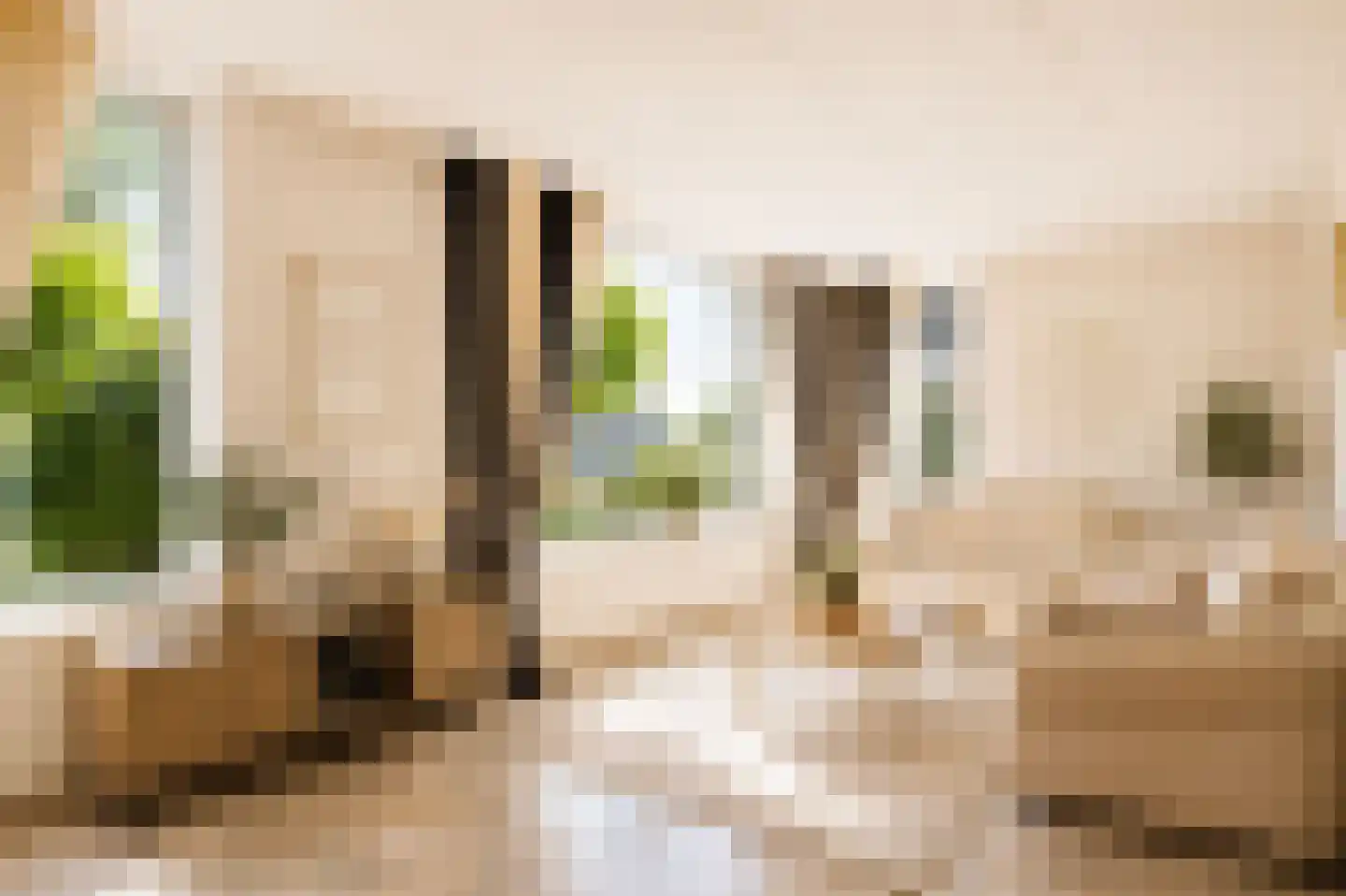 Doelbeekseweg 20 Heerde thumbnail 6