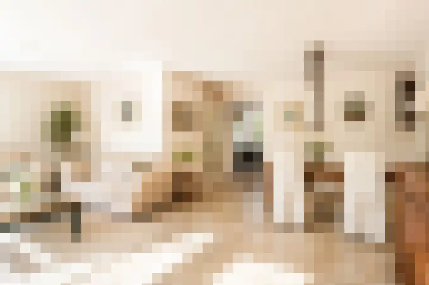 Doelbeekseweg 20 Heerde thumbnail 7