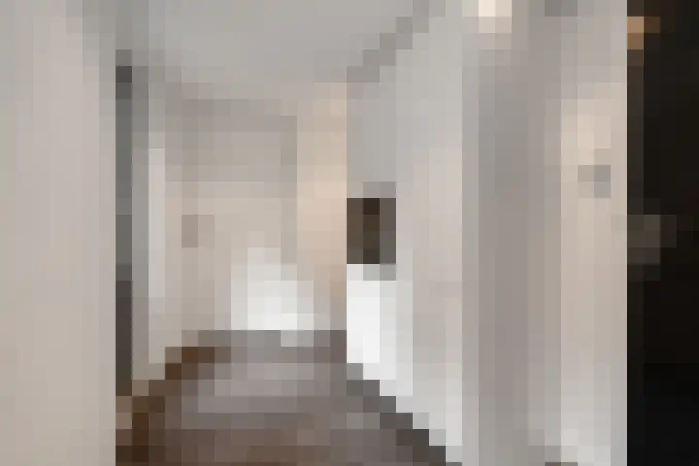 Doelbeekseweg 28 Heerde thumbnail 13
