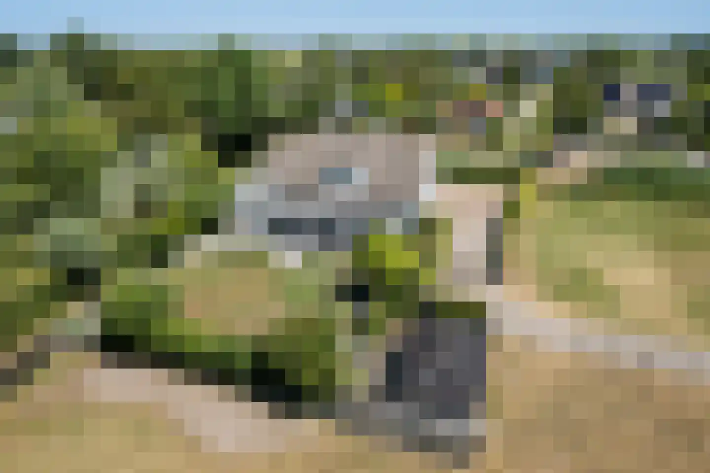 Doeldijk 17 Montfoort thumbnail 53