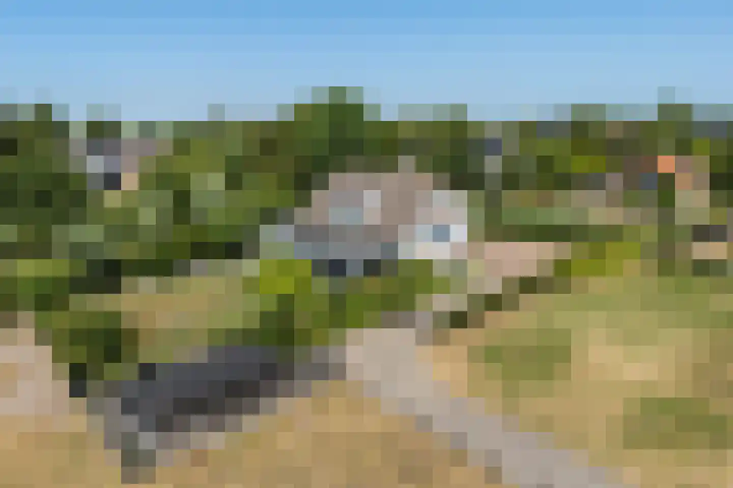 Doeldijk 17 Montfoort thumbnail 54