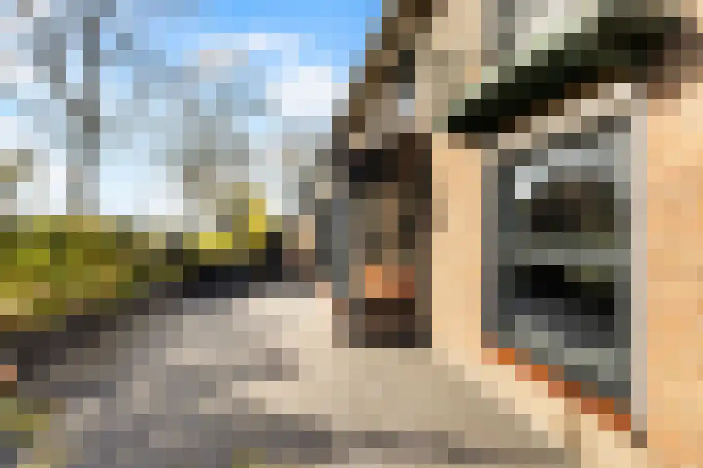 Doeldijk 2 Montfoort thumbnail 24