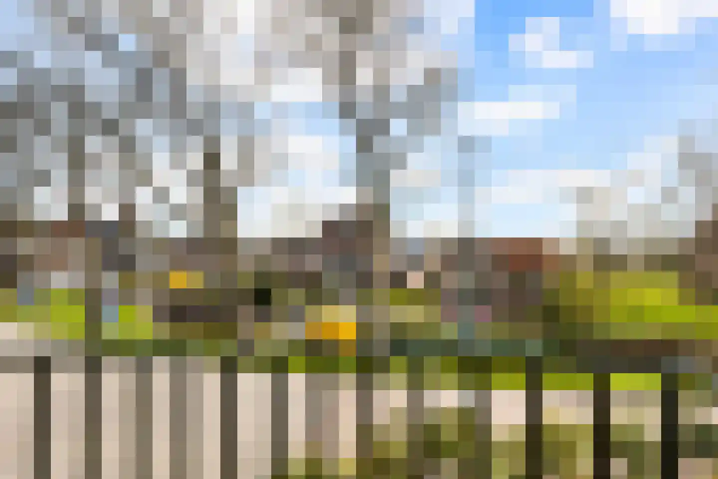 Doeldijk 2 Montfoort thumbnail 34