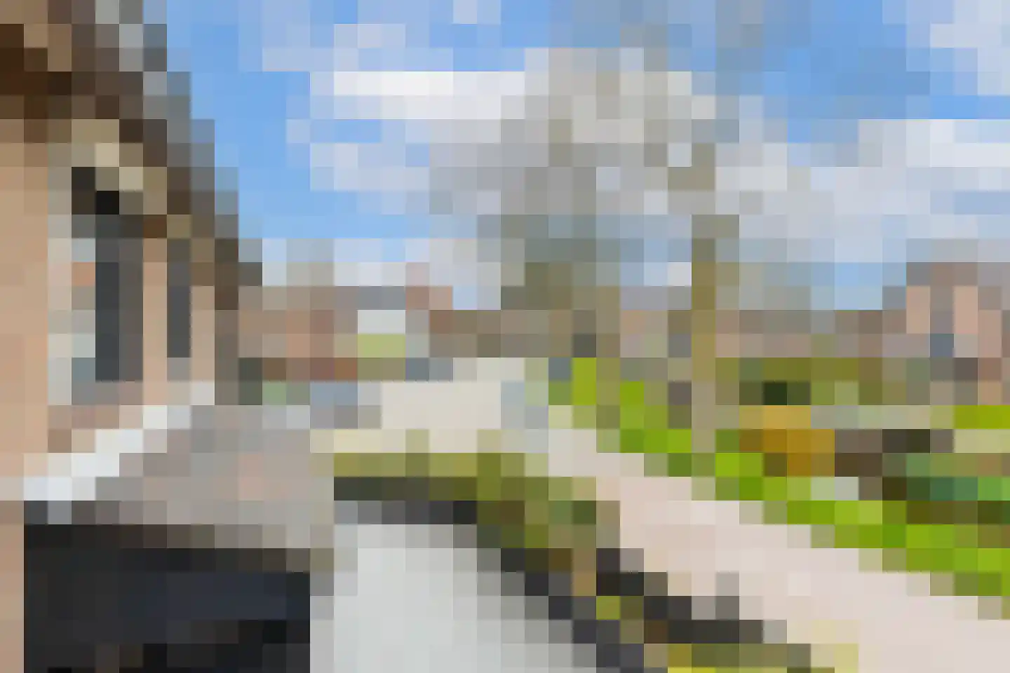 Doeldijk 2 Montfoort thumbnail 61