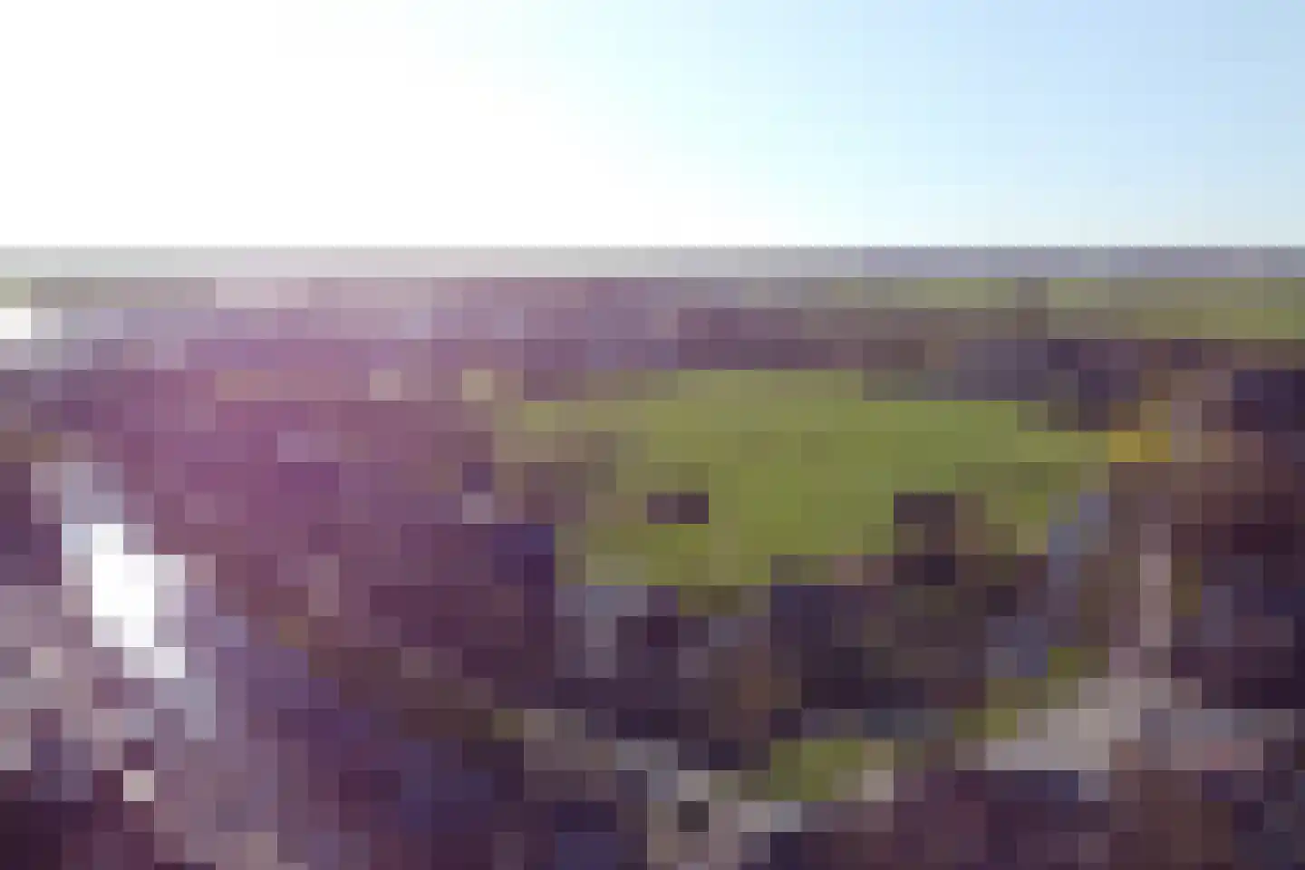 Doeldijk 2 Montfoort thumbnail 62