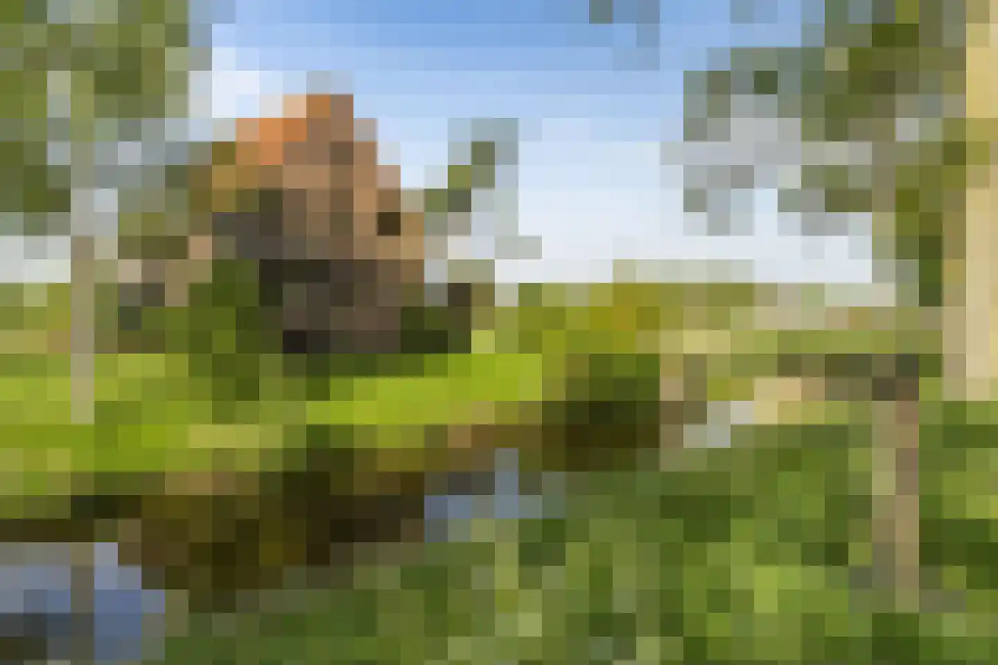 Doeldijk 5 Montfoort thumbnail 4