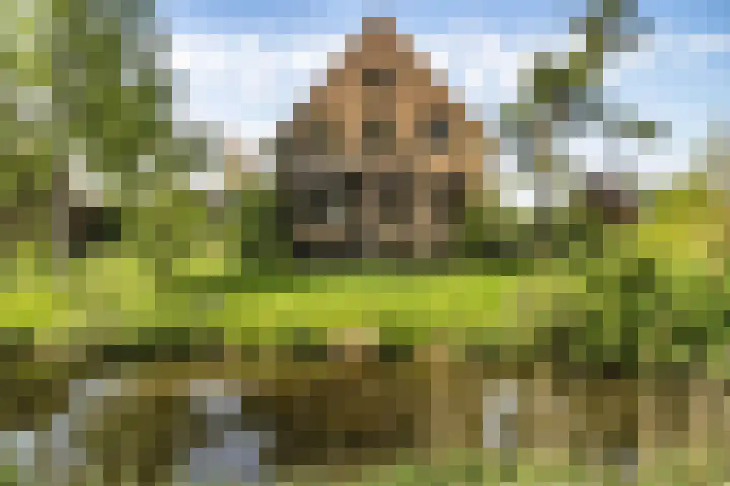 Doeldijk 5 Montfoort thumbnail 5