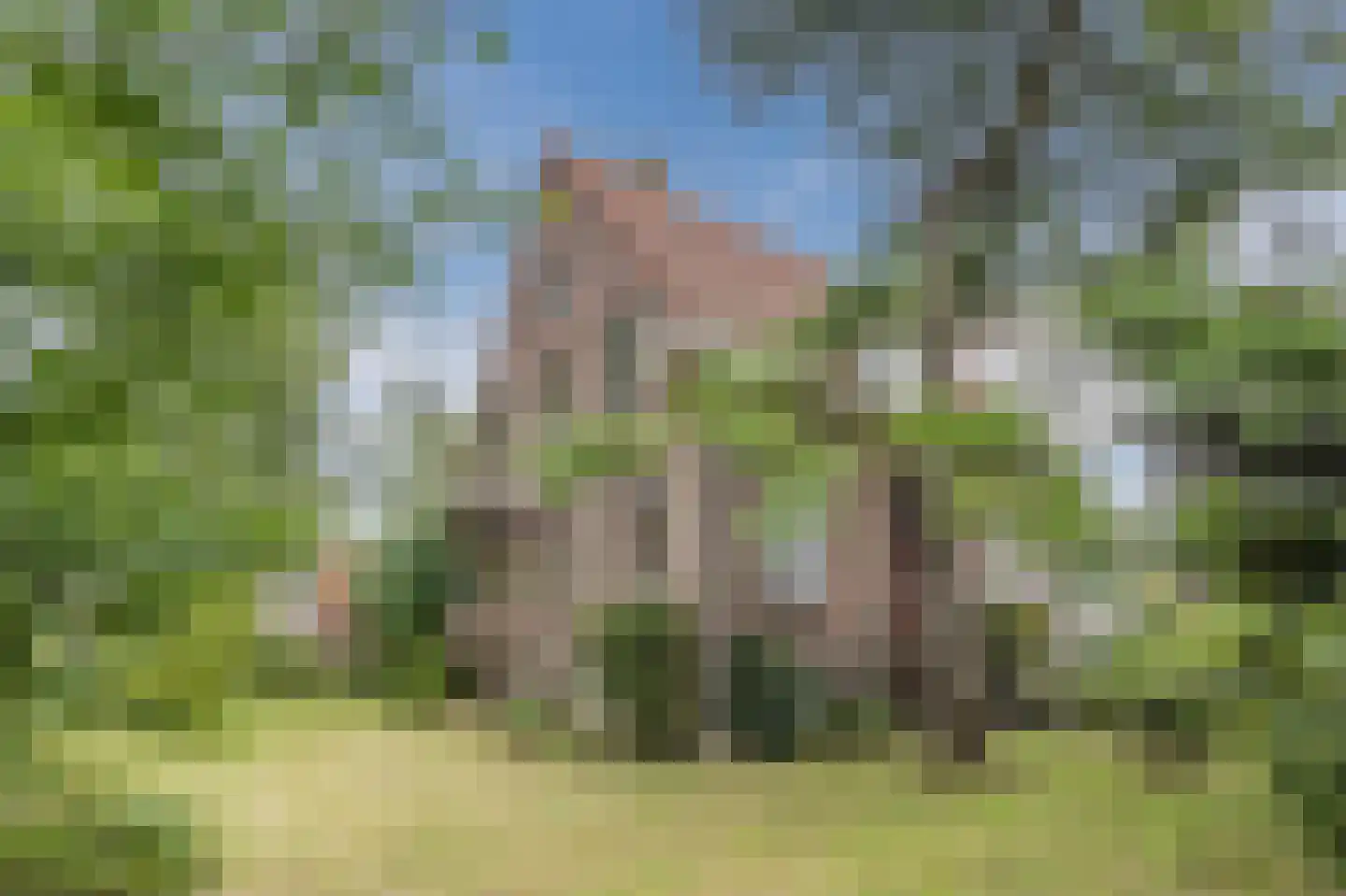 Doeldijk 5 Montfoort thumbnail 6