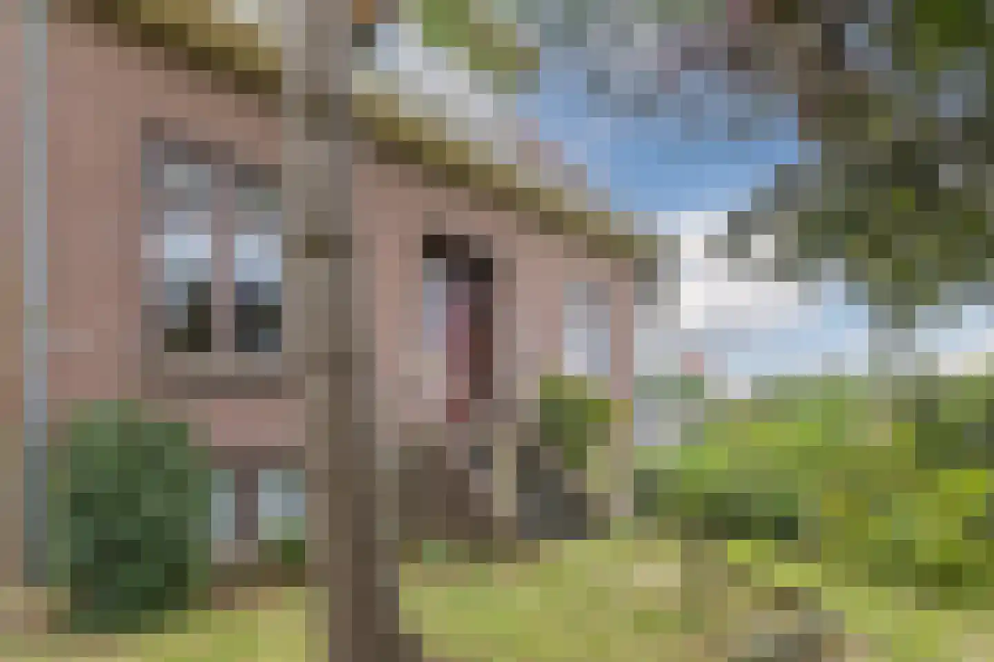 Doeldijk 5 Montfoort thumbnail 7