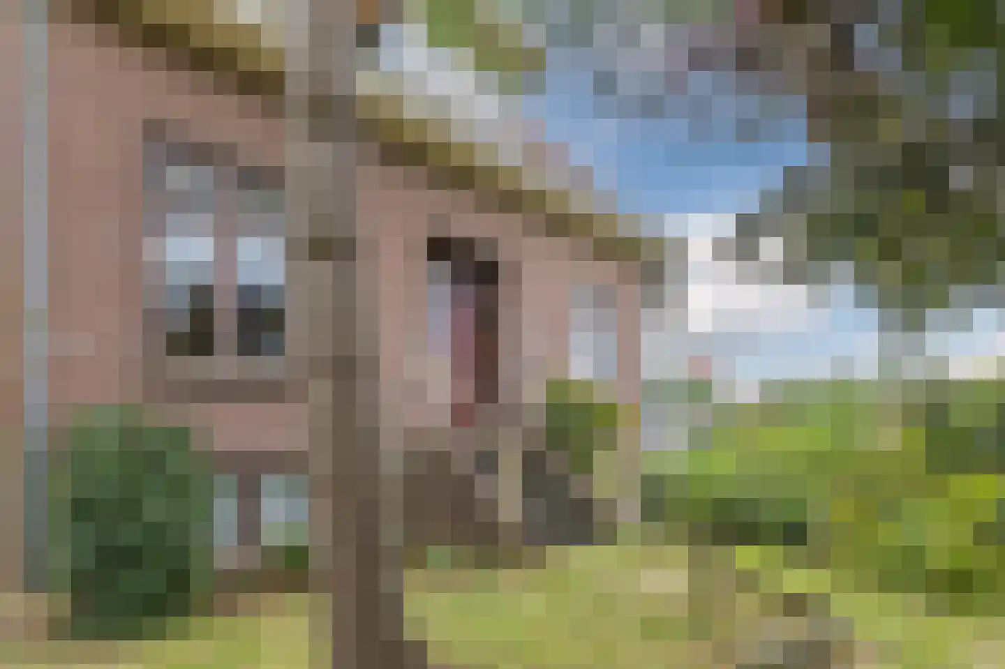 Doeldijk 5 Montfoort thumbnail 7