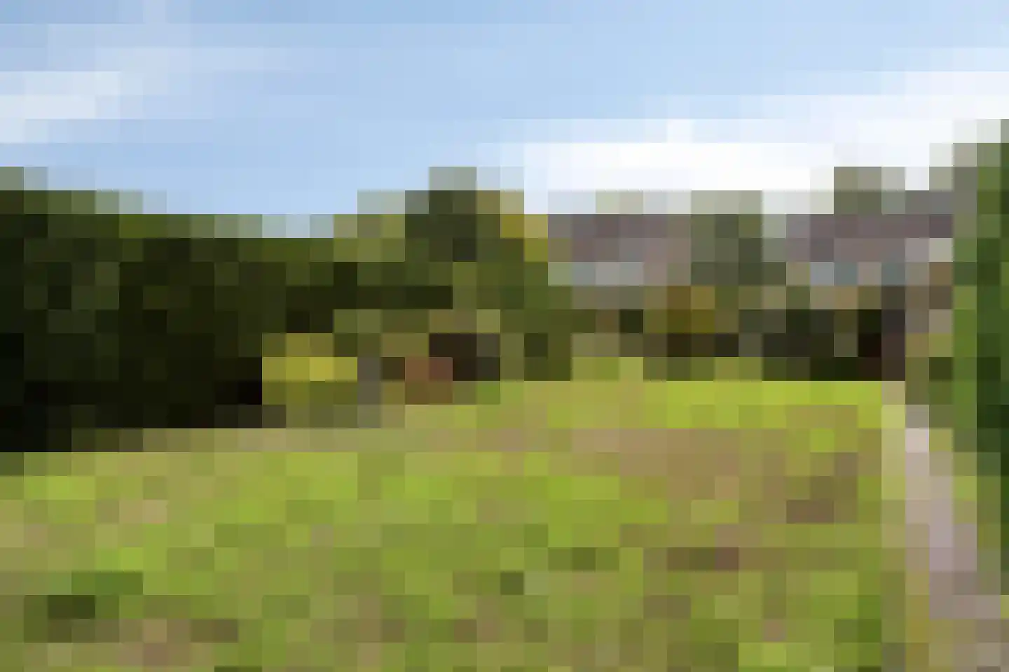 Doelen 10 Loon op Zand thumbnail 28