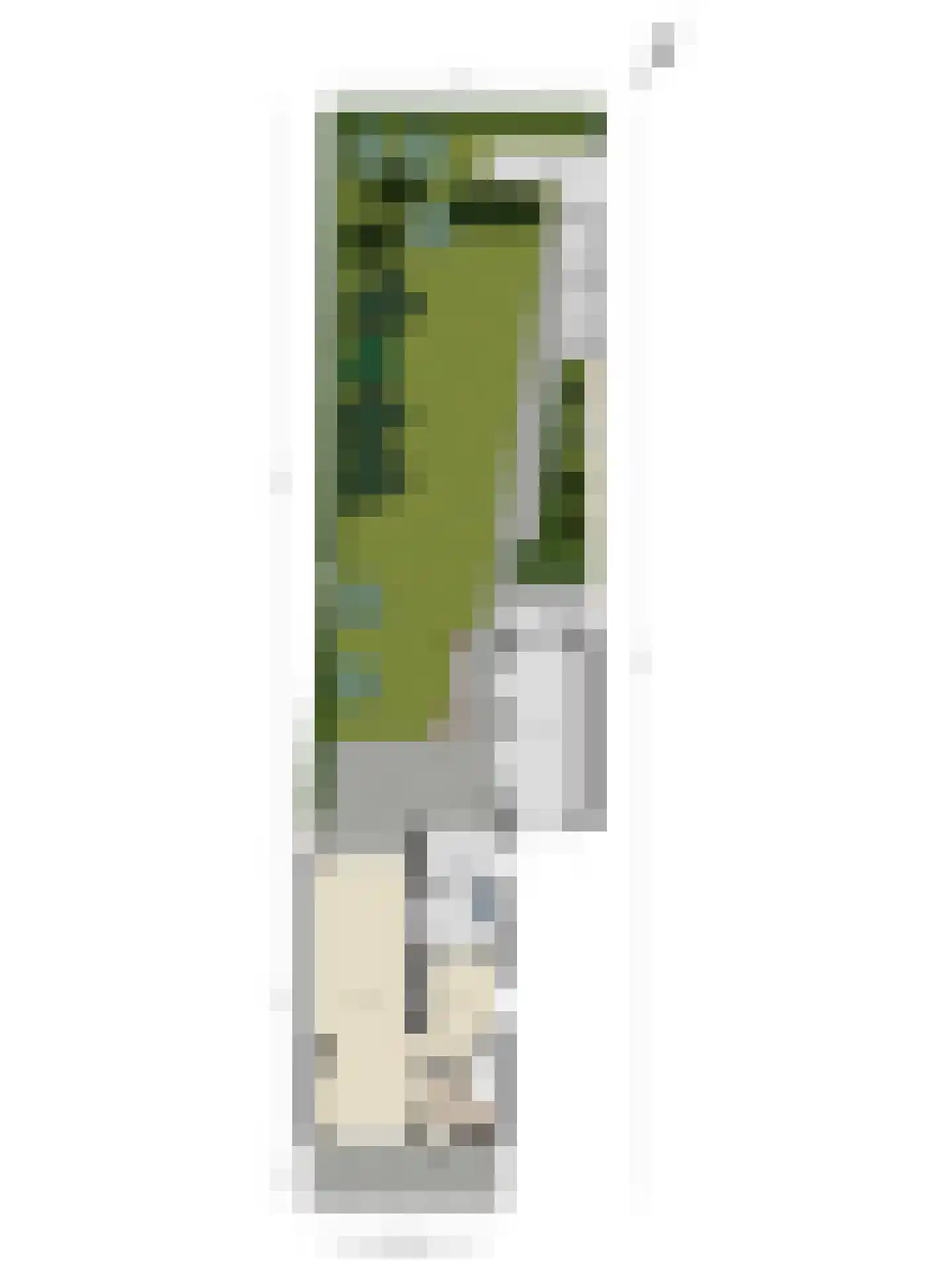 Doelen 10 Loon op Zand thumbnail 39