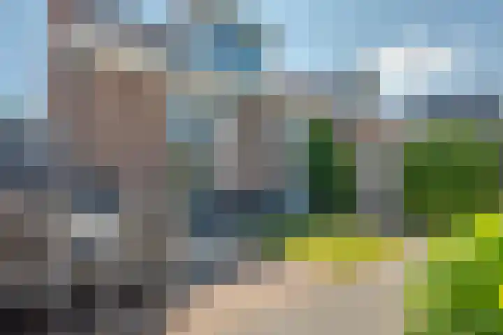 Doelen 12 Vollenhove thumbnail 10