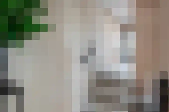 Doelen 12 Vollenhove thumbnail 16