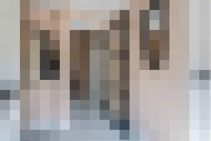 Doelen 12 Vollenhove thumbnail 18