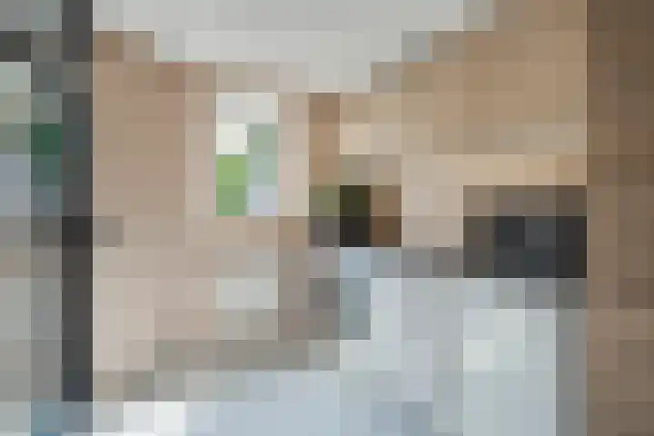 Doelen 12 Vollenhove thumbnail 19