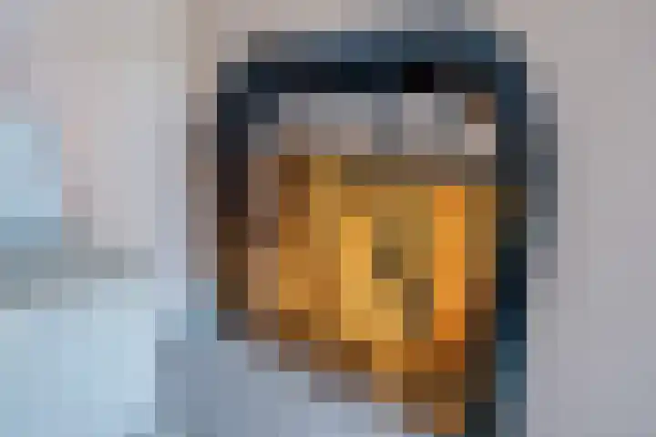 Doelen 12 Vollenhove thumbnail 20