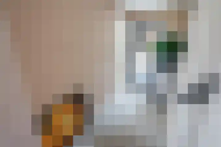 Doelen 12 Vollenhove thumbnail 21