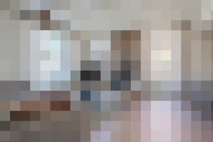 Doelen 12 Vollenhove thumbnail 22