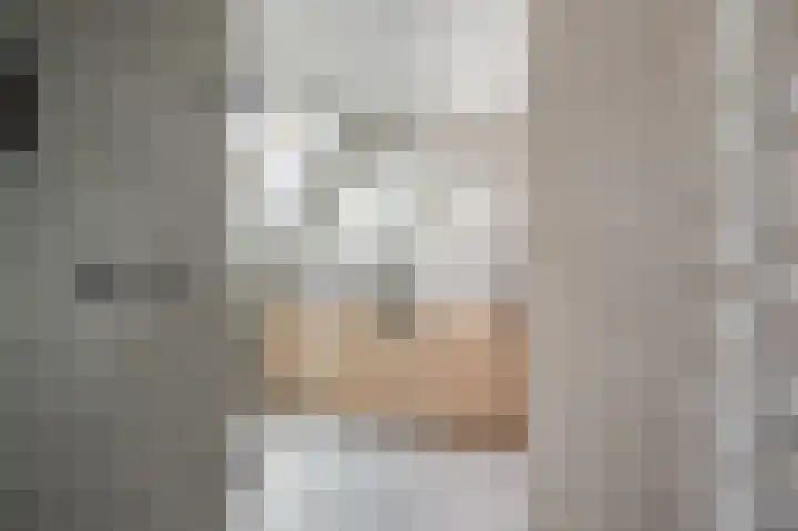 Doelen 12 Vollenhove thumbnail 29