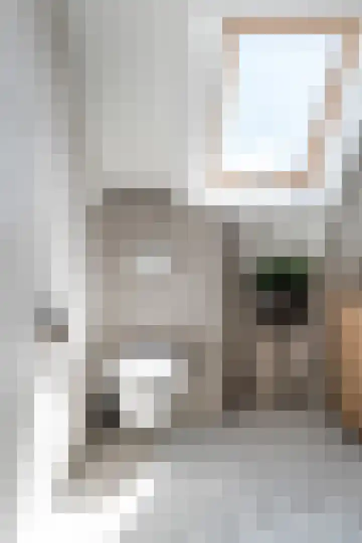 Doelen 12 Vollenhove thumbnail 34