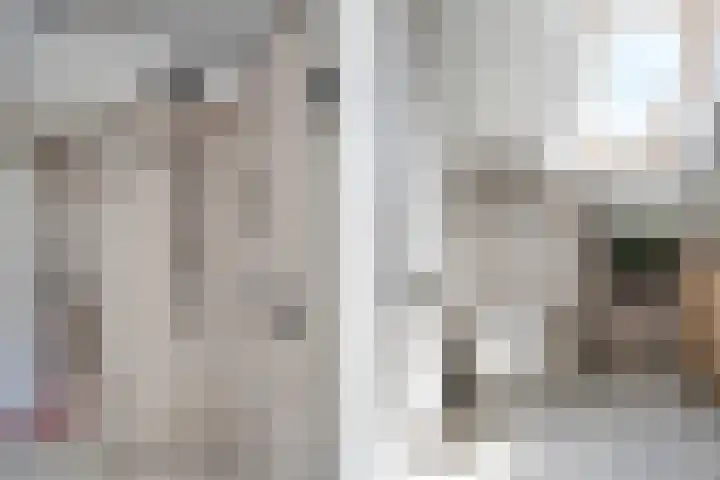 Doelen 12 Vollenhove thumbnail 35