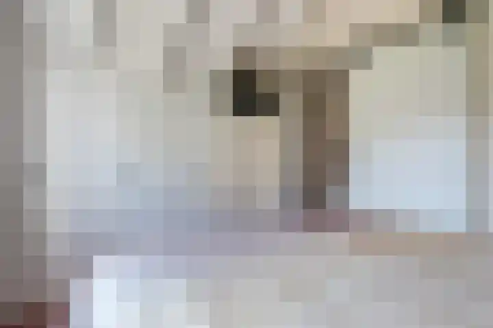 Doelen 12 Vollenhove thumbnail 37