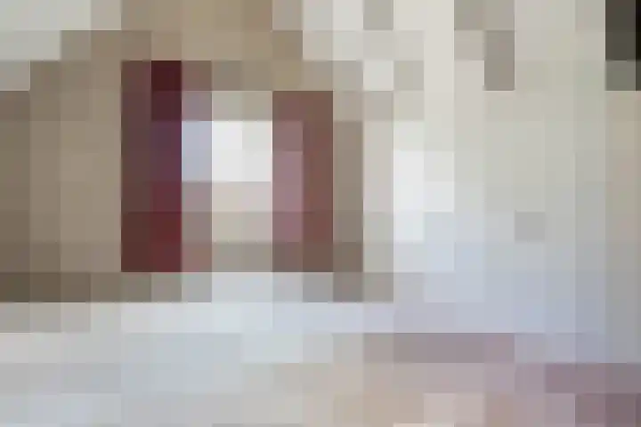 Doelen 12 Vollenhove thumbnail 38