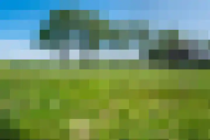 Doelen 12 Vollenhove thumbnail 4
