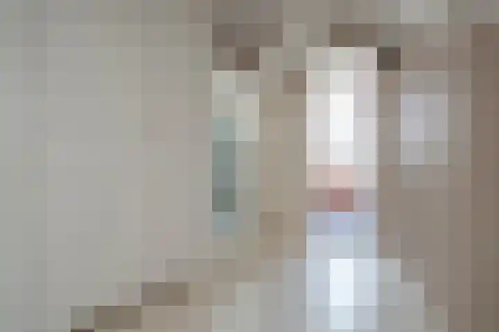 Doelen 12 Vollenhove thumbnail 42