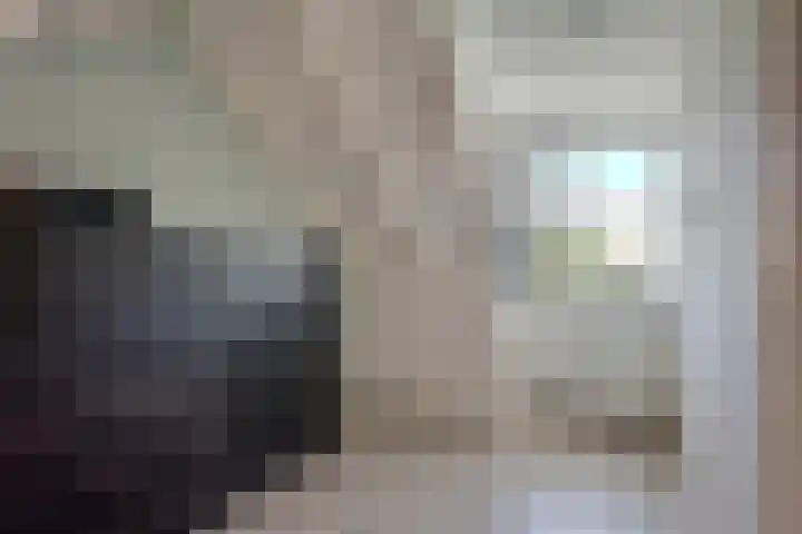 Doelen 12 Vollenhove thumbnail 44
