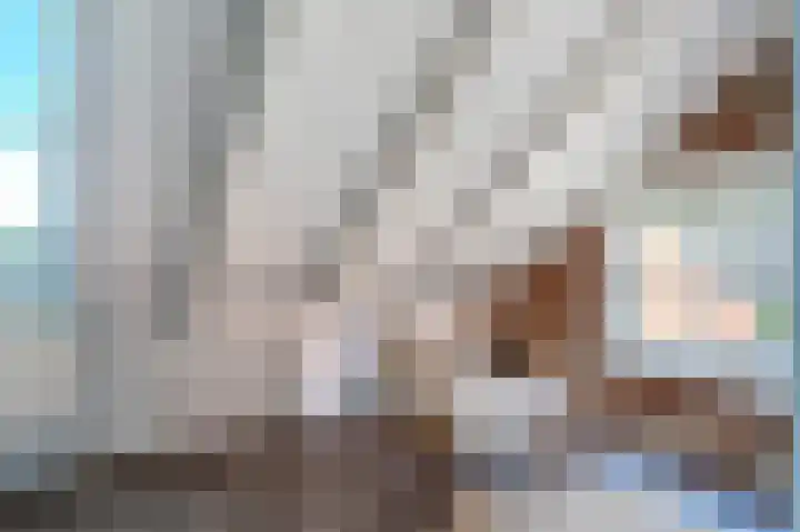 Doelen 12 Vollenhove thumbnail 46