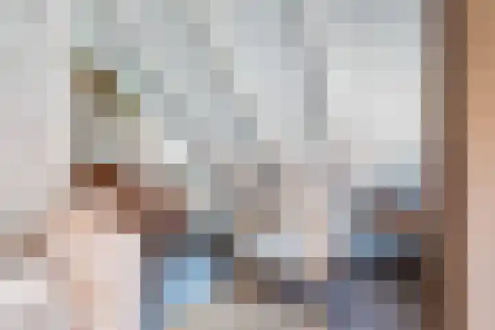 Doelen 12 Vollenhove thumbnail 49