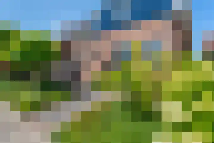 Doelen 12 Vollenhove thumbnail 5
