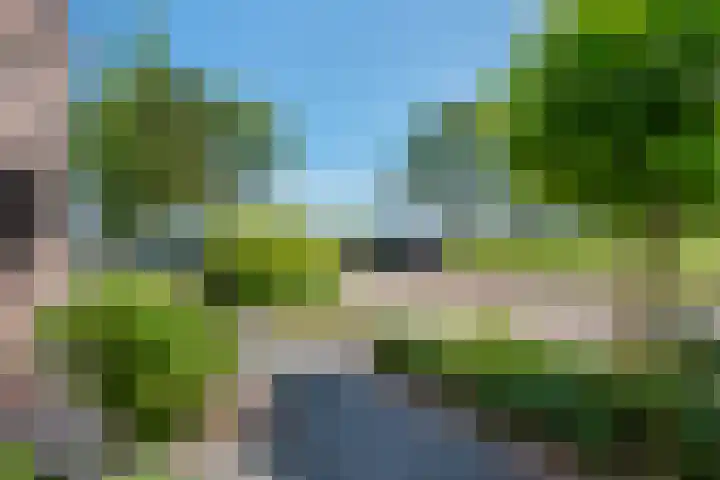 Doelen 12 Vollenhove thumbnail 6