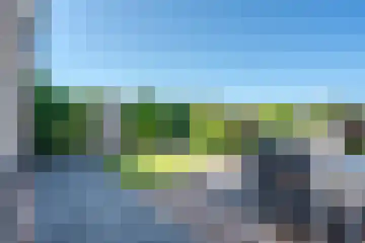 Doelen 12 Vollenhove thumbnail 7