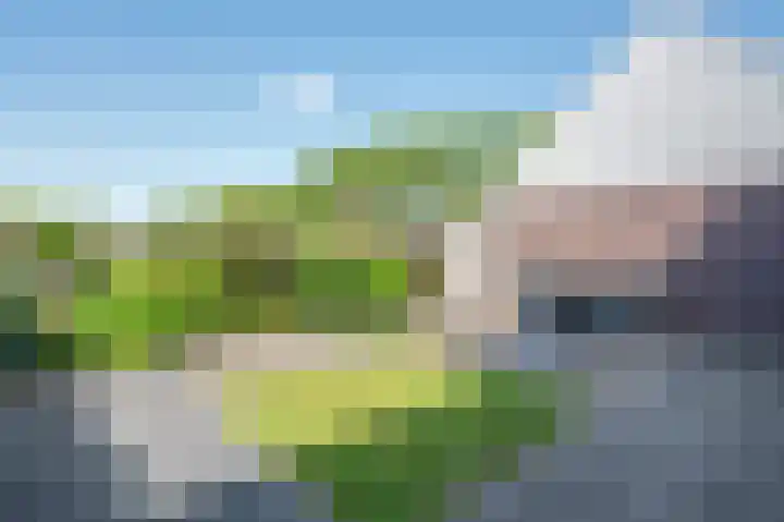 Doelen 12 Vollenhove thumbnail 8