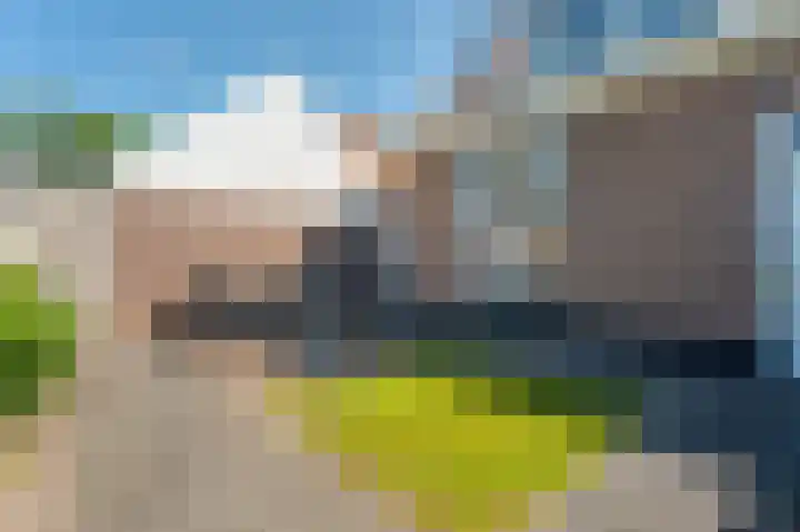 Doelen 12 Vollenhove thumbnail 9